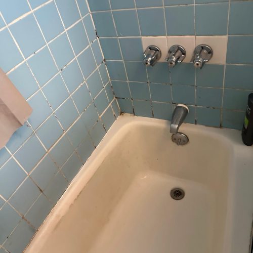 WhatsApp Image 2025-04-01 at 07.39.44_20da744c