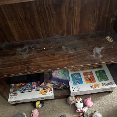 WhatsApp Image 2025-04-01 at 07.39.45_2d9a9b32