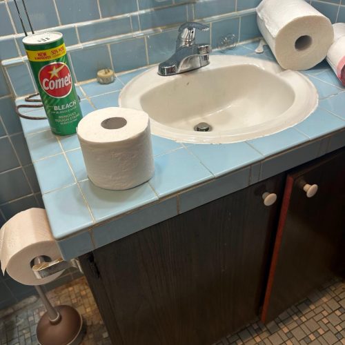 WhatsApp Image 2025-04-01 at 07.39.45_7310f835