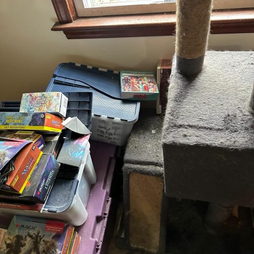 WhatsApp Image 2025-04-01 at 07.39.46_270884d7