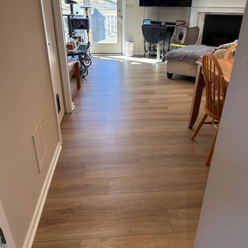 WhatsApp Image 2025-04-01 at 07.39.49_b306a9dc