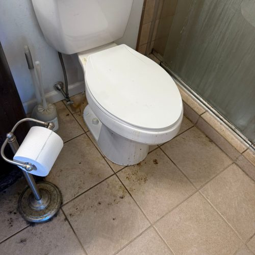 WhatsApp Image 2025-08-30 at 16.26.35_85a0994e