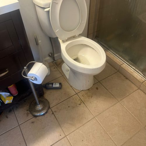 WhatsApp Image 2025-08-30 at 16.29.57_b6296c64