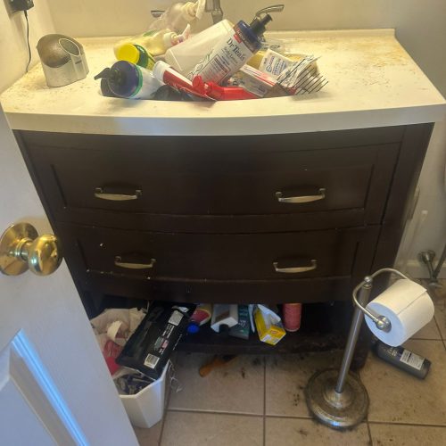 WhatsApp Image 2025-08-30 at 16.29.57_e48282ae